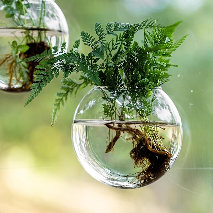 Window Propagation Stations, Oblate Glass Terrariums Planter with Suction Cup Hook, Wall Hanging Planters for Hydroponics Plants, Home, Office, Bathroom, Living Room Decor, Gift for Plant Lovers (6)