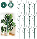 12 Pack Stackable Monstera Plant Support Stakes, 90inch Climbing Plant Sticks Structures with Garden Ties, Durable Alternative to Moss Pole for Indoor Outdoor Plants