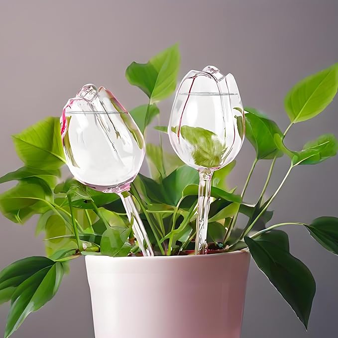 2 Pack Glass Plant Watering Globes, Self Watering Planter Insert Devices, Automatic Watering Bulbs for Indoor Plants, Plant Accessories, Flower Water Tubes, Water Plants Spikes While Away