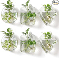LemonRoad 6 Pcs Wall Hanging Glass Wall Hanging Planter Propagation Station Terrariums Clear Glass Vase Container for Hydroponic Plant Home Office Living Room Bathroom Garden Decor
