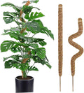 Moss Pole, 31.5" Bendable Moss Pole for Plants Monstera, Tall Moss Poles for Climbing Plants Indoor DIY, Coir Plant Pole Sticks Support Stakes for Potted Plants, Pothos, Philodendron,2 Pack