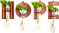 Hope Letter Wall Propagation Planters Test Tubes Wall Decor for Hanging Plants Clear Water Plant Vase Brown Wood Upletter Alphabet 4 Pack Boho Functional Art