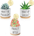 Succulent Pots with Plant Labels, Gifts for Women Birthday Unique Funny, 3.15 inch Ceramic Flower Plant Pots with Drainage Holes and Saucers, Gardening Gifts, Pack of 3 - Plants Not Included