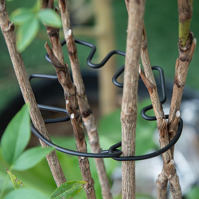 Yohsnor Monstera Plant Stem Support Set - 5pcs 4.13x2.95 inches Durable Supports for Indoor Climbing Plants - Easy-to-Use Stabilizers for Healthy Growth and Elegant Garden Decor