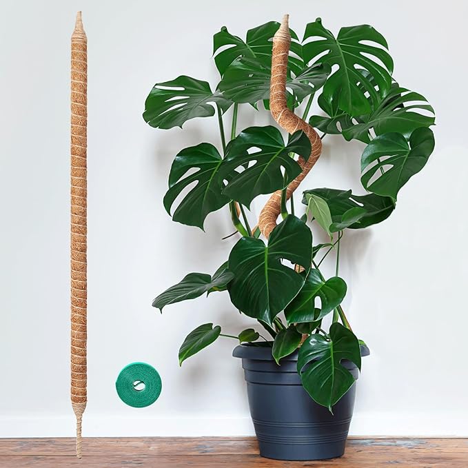 Monstera Moss Pole, 35in Bendable Bendable & Sturdy Plant Stakes for Monstera, Indoor Plant Tools, Pothos Vines, Philodendron, Fishbone Cactus & Indoor Tropical Houseplants, Coco Coir