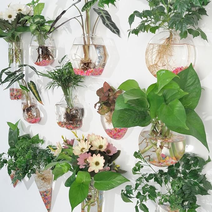 Wall-Mounted Plant Terrarium Propagation Station Hanging Glass Tubes Flower Vase for Hydroponics Plants, Bathroom, Home Offices Living Room Decor Gift, Cylinder
