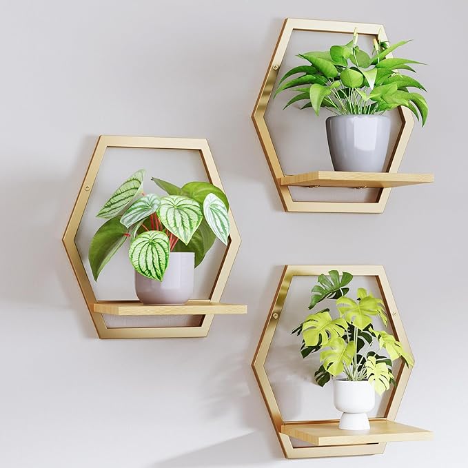 3 Pack Natural Wood & 25 LB Load Metal Wall Plant Holders, 9 inch Solid Wooden Shelf, Mid Century Hanging Planter for Indoor Plants Golden