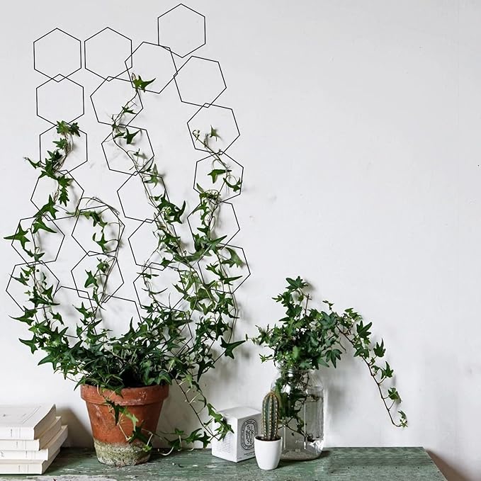 20pcs Chain Trellis for Climbing Plants Indoor, Metal Hexagonal Wall Plant Support Accessories for Vine Growth, Ivy, Pothos Live Plant Climber
