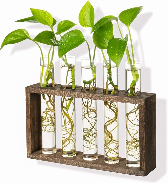 Kingbuy Wall Propagation Station with 5 Test Tube Vases - Vintage Wood Stand Wall Hanging Planter for Plants, Tabletop Terrarium Windowsill Decor Kitchen Herb Garden Accessory, Brown