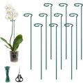 Kingsyard 24 Inch Plant Support Stake - 10 Pack, 4.5mm Thick All Metal Garden Plant Stakes Plant Prop for Single Stem Flowers Dahlia Amaryllis Orchid Lily Rose Peony Tomatoes Gladiolus