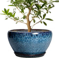 Ceramicfor Ceramic Plant Pots 13 Inch - Indoor Planter with Drainage Hole and Saucer, Decorative Large Planter for Indoor Outdoor Plants, Ceramic Flower Pots, Gifts for Plant Lovers, House Decor, Blue
