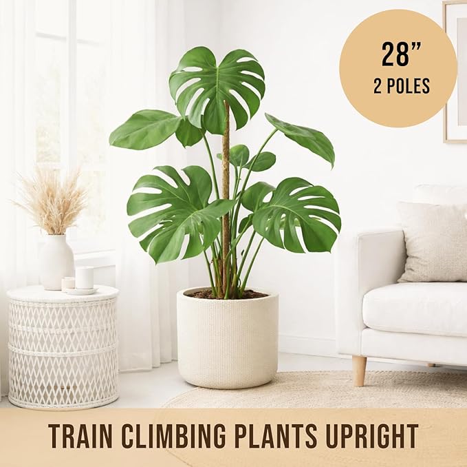 Craft911 Moss Pole Monstera Plant Support – 2 Pack 28” Bendable Moss Pole Monstera Plant Support, Plant Stakes for Indoor Plants, Tall Plant Sticks Support for Climbing Plants