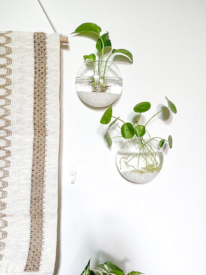 Kingbuy Wall Hanging Glass Planter Propagation Station - 4 Pack Oblate Globe Wall-Mounted Vases for Indoor Hydroponic Air Plants Bathroom Living Room Office Decor Gift for Women, Mom, Plants Lovers