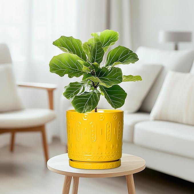 Eightpot 8 Inch Plant Pot, Ceramic Pots for Plants with Drainage Hole and Sacuer, Round Flower Pots for Indoor Outdoor Plants, Modern Decorative Planter, Table Decor, Plant Gifts for Women, Yellow