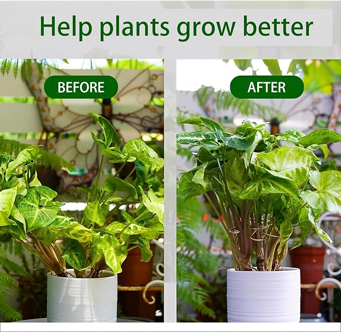 5Pcs Gold Plant Stem Support, Stable Support Stakes for Plants Stabilize, Outdoor & Indoor & Garden Plant Stakes for Healthy Growth (Flower Shaped Bracket A)