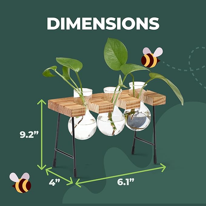 Window Garden Plant Terrarium Glass Vase with Stand - Set of 3 - Real Wood Frame with Transparent Bulb-Shaped Glass - Propagation Stations for Indoor Plants - Wooden Finish