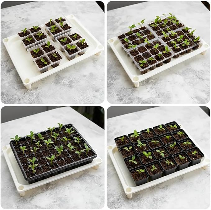 RooTrimmer 5-Tier Seed Starter Trays, Plant Stand, with Bottom-Watering Design–Shelf for Indoor Outdoor Seedling Sprouting Greenhouse, Space-Saving for Small Cell Trays & Nursery Pots, White