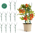 10 Pack Stackable Monstera Plant Support, Garden Plant Support Stakes for Indoor Outdoor Plants, Climbing Plant Support Structures Plant Holder Stick Moss Pole for Support Tall Potted Plants