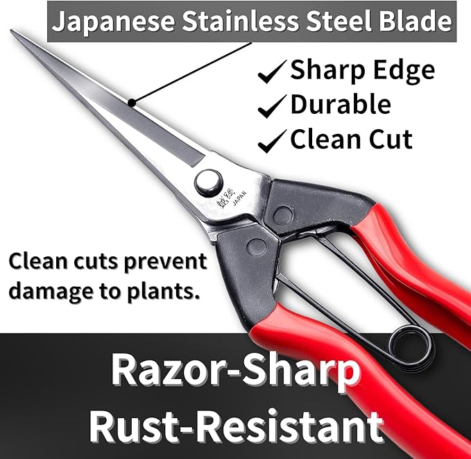 Japanese Garden Shears Long Blade 7.9" for Plants - Needle Nose Pruners with Pointed Tips - Sharp Japanese Stainless Steel Blade & Spring Loaded Handle - Made in Japan