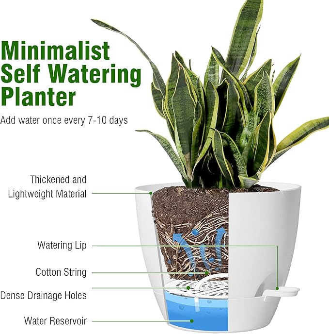 WSMKSZ 8 inch Self Watering Pots, Planter, Plant Pots with Mesh Drainage Holes for Indoor Outdoor House Plants and Garden, 2 Pack Plastic Flower Pots with Deep Reservoir for Patio Porch, White