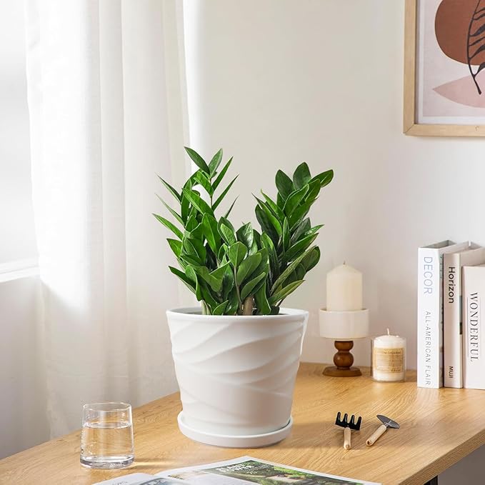 8 Inch Plant Pot,Ceramic Planter with Drainage and Saucer,Ceramic Pots for Plants,Indoor Plant pots,Ceramic Flower pots(Pure White)