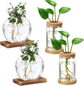 Layhit 4 Pcs Plants Propagation Stations vases Glass Planters with Wooden Lid and Bamboo Stand for Hydroponic Plants Gardening Gifts for Women Mom Home Office Tabletop Decoration(Novelty Style)