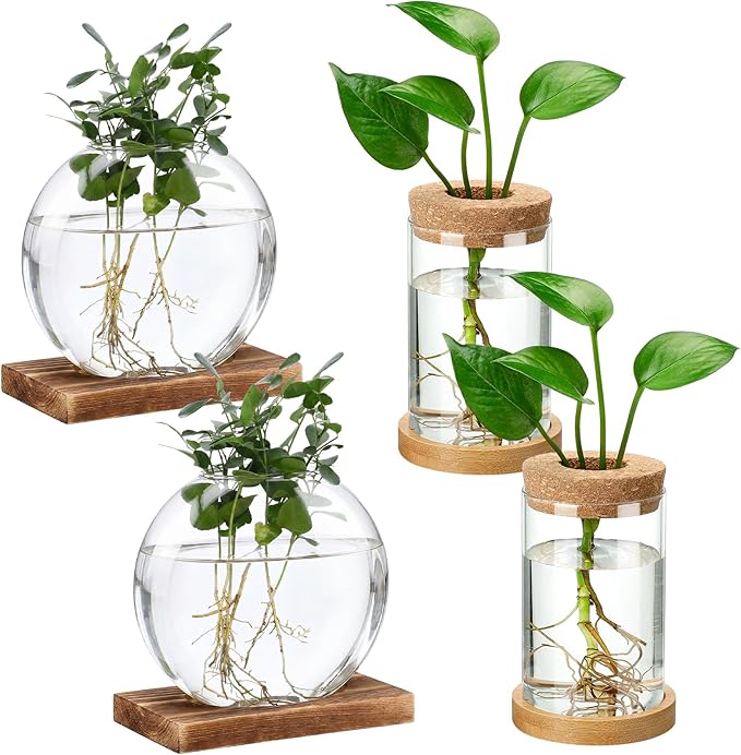 Layhit 4 Pcs Plants Propagation Stations vases Glass Planters with Wooden Lid and Bamboo Stand for Hydroponic Plants Gardening Gifts for Women Mom Home Office Tabletop Decoration(Novelty Style)