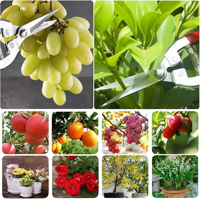 Pruning Shears with Stainless SK5 Steel Blades+Straight Tip Gardening Shears Garden Shears Garden Clippers Florist Scissors Hand Pruners Garden Tools Gardening Tools Set,Red