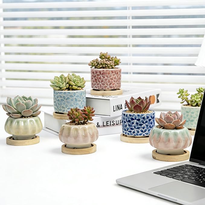 8 Pcs Succulent Pots with Ice Crack Glaze, 2 Shapes & 8 Colors Ceramic Succulent Planters with Drainage Holes & Bamboo Saucers, Indoor Plant Pots for Home Garden，Desk Decor, Office Decor, Gift Idea