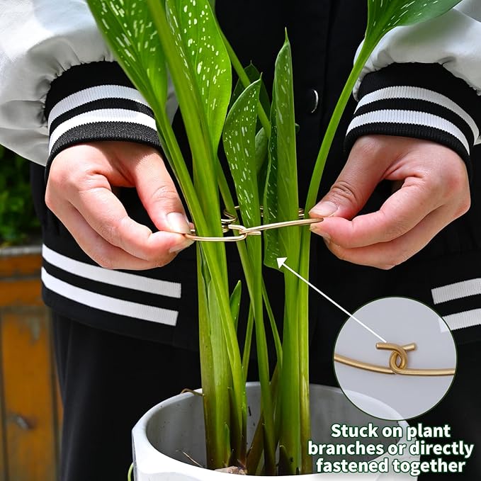 Yohsnor Monstera Plant Stem Support - 5 Piece Set, 4.13x2.95in Durable Leaf Holder & Fishbone Cactus Stake for Healthy Growth of Climbing Plants - Easy to Use Indoor Plant Decor