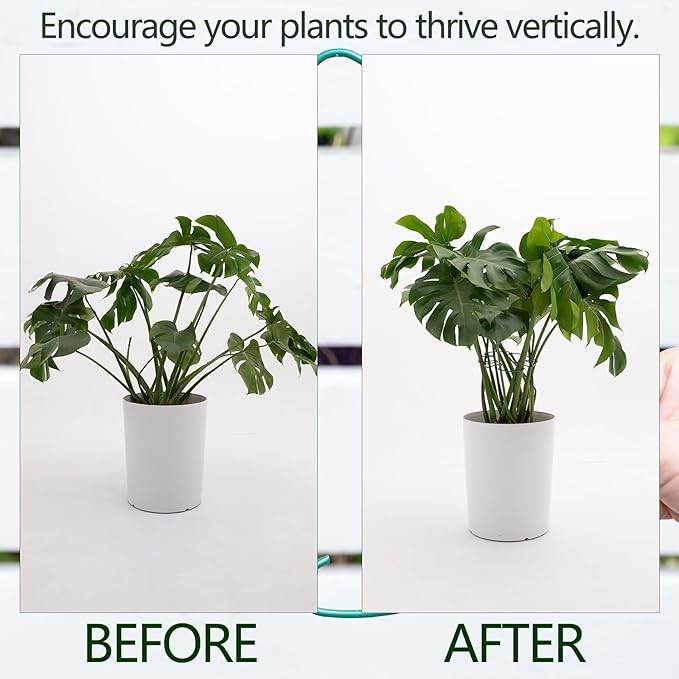 Yohsnor 5PCS Monstera Plant Stem Support 7.3*6.25IN Adjustable Holder for Indoor Plants, Durable Metal Structure with Gentle Clips, Perfect for Fishbone Cactus & Climbing Plants, Ideal Gardening Gift