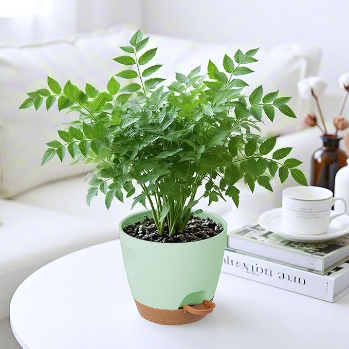 5-Pack Plant Pots with Drainage 7/6.5/6/5.5/5 Inch, Self Watering Pots for Indoor Plants, Planters for Indoor Outdoor Plants, Plastic Flower Pot, Planter for Indoor Outdoor (Green)