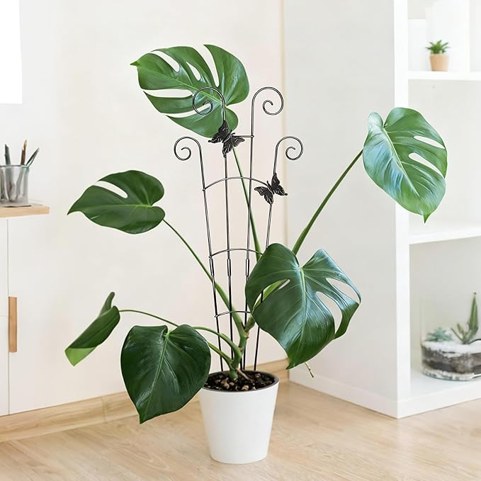 30'' Larger Plant Trellis with Ties Indoor, Expandable Metal Trellis for Climbing Plants Indoor, House Plant Climbing Support for Flowers Vine Ivy Monstera Hoya Pothos, 2P