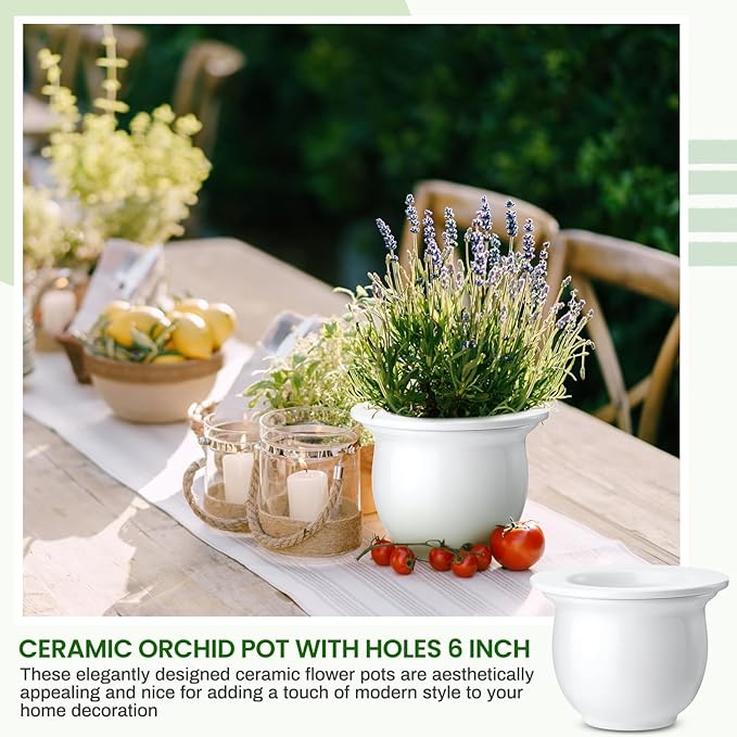 Suclain 2 Pack Ceramic African Violet Pots Self Watering Plant Pot Effortless Self Watering Plant Flower for Busy Lovers, Indoor(White,6.5 Inch)