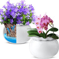 Suclain 2 Pack Ceramic African Violet Pots Self Watering Plant Pot Effortless Self Watering Plant Flower for Busy Lovers, Indoor(White,6 Inch)