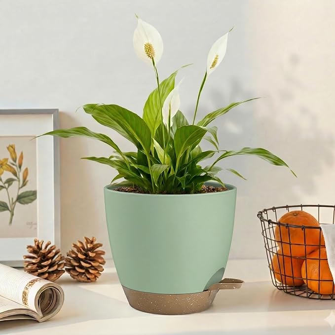 Plant Pots 8/7.5/7/6.5/6 Inch Self Watering Pots,5 Pack Planters with Drainage Holes and Saucers,Plastic Flower Pots,Nursery Planters for Indoor Outdoor Plants (Green)