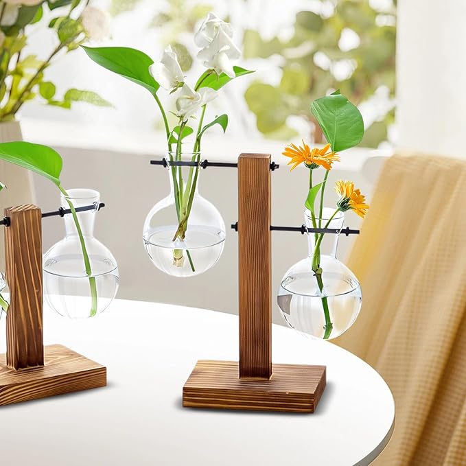 Wooden Base Glass Vase - Plant Holder & Propagation Station for Hydroponic Plants, Desktop Terrarium with Wooden Stand, Stylish Home & Office Décor, Great Gift for Plant Enthusiasts (FGJ-2B)
