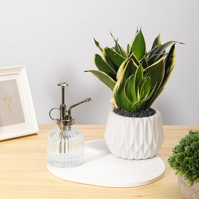 Glass Plant Mister Water Spray Bottle, 200 ML Glass Plant Spritzer Mister Bottle, Vintage Style Glass Succulent Watering Bottle with Top Pump, Plant Sprayer Mister for Indoor Plants - Clear