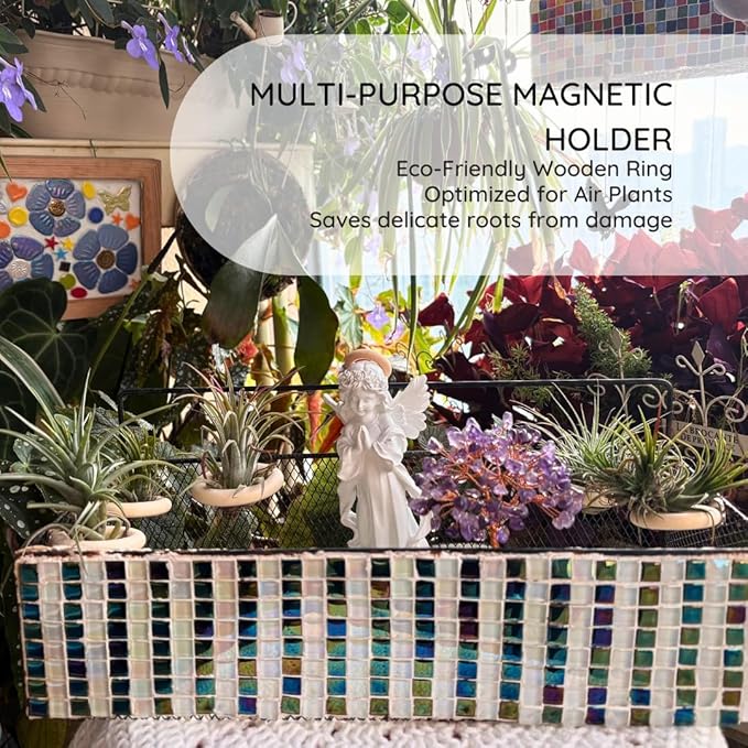 15-Pack Magnetic Air Plant Holders, Breathable Wire Tillandsia Hangers for Fridge & Metal Wall, Modern Miniature Plant Display Rings for DIY Fairy Gardens and Home Decor (1.2 Inch)