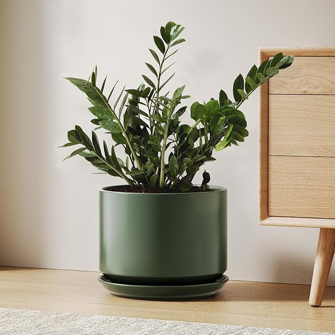 LE TAUCI Ceramic Pots for Plants, 10 Inch Plant Pot with Drainage Hole & Saucer, Sturdy & Modern Planters for Indoor Plants, Includes Mesh Screen, Fits Snake Plant & Monstera, Forest Green