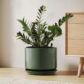 LE TAUCI Ceramic Pots for Plants, 10 Inch Plant Pot with Drainage Hole & Saucer, Sturdy & Modern Planters for Indoor Plants, Includes Mesh Screen, Fits Snake Plant & Monstera, Forest Green