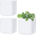 Phoenix Vine 6.5 Inch Wall Mounted Self-Watering Planter Pot for Indoor Houseplants and Herbs | Hanging Planter for Window Sills, Bathroom Walls, Home & Office Décor, White, Set of 3, 01-C-D-3