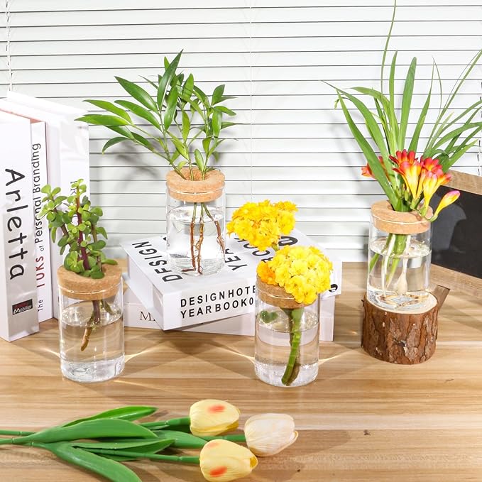 Separated Desktop Glass Flower Vases with Wooden Saucers - Ideal Plants Propagation Stations for Living Room, Bedroom Decoration,Home Decor (9)