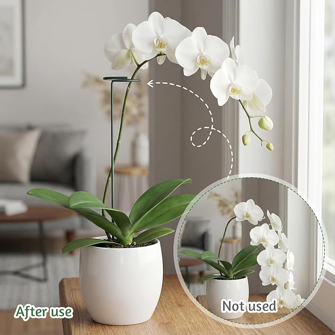 4 Pcs Plant Support Stakes, 12/24/36 Inch Adjustable Plant Support Stake Metal Round Ring Flower Supports Stakes Indoor Outdoor for Orchid, Peony, Rose, Amaryllis
