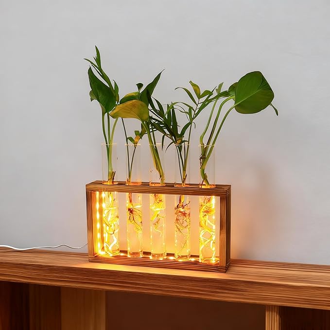 Plant Propagation Station with LED Lights, Plants Terrarium with Wooden Stand, 5 Glass Test Tube Vases for Propagating Hydroponic Plants Cutting Office Home Desk and Garden Decor Gift for Plant Lovers