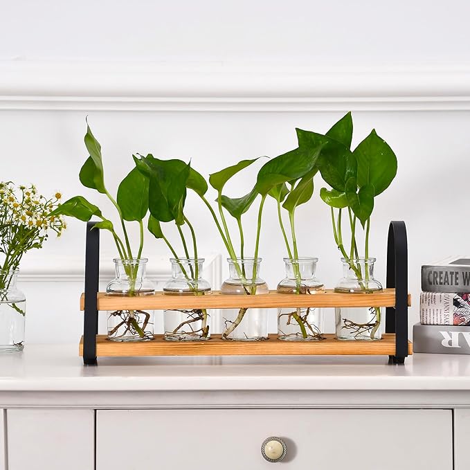 VIKEYHOME Plant Propagation Station with Wood Stand, Desktop Terrarium for Hydroponic, Flower Vase for Home, Kitchen, Office Decor, Plants Lover Gifts