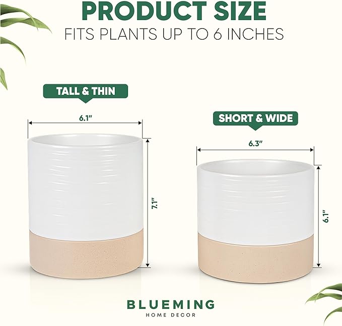 Ceramic Self Watering Plant Pots – 6 Inch White Planter with Drainage Hole & Water Storage for Succulents & Modern Indoor House Plants (White & Beige, 6" Wide)