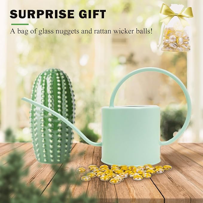 Indoor Watering Can for Houseplants-Long Spout Metal Watering Can for Indoor Plants, Succulents or Outdoor Garden Flower, 1.3L / 40 oz Mint