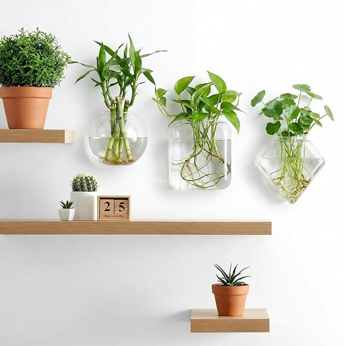 LemonRoad 6 Pcs Wall Hanging Glass Wall Hanging Planter Propagation Station Terrariums Clear Glass Vase Container for Hydroponic Plant Home Office Living Room Bathroom Garden Decor
