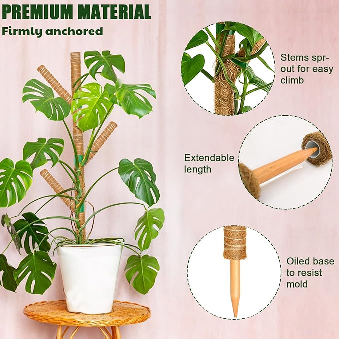Moss Pole for Monstera Plant Support, 3 Pack 15.7'' Stackable Moss Poles for Climbing Plants, Indoor Garden Coco Coir Poles for Monstera Deliciosa, Pothos, Philodendron (15.7In x 3Pack)